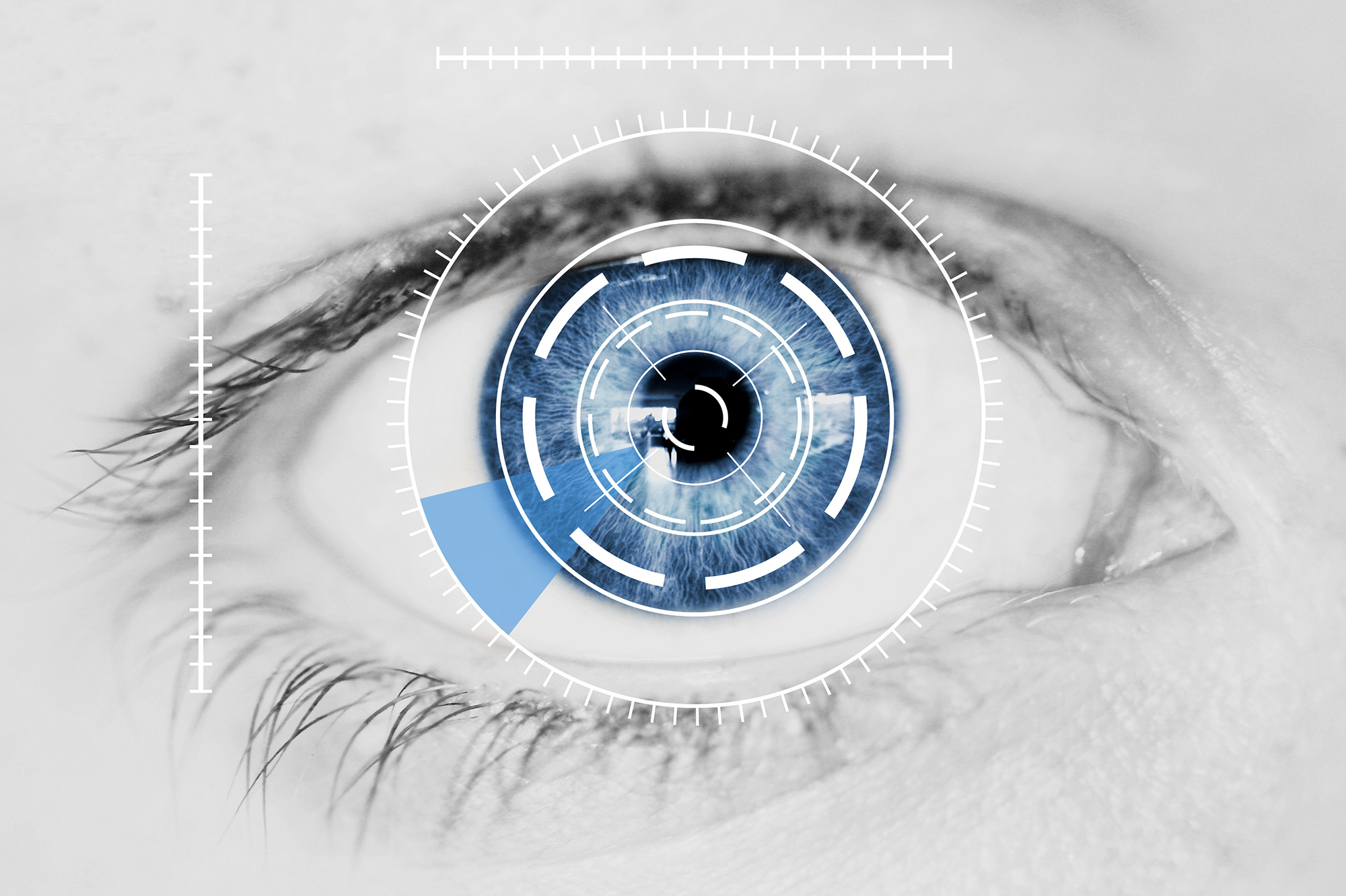Biometric Eye Scan